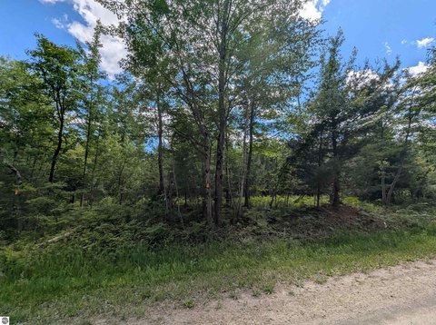 Hunting/Recreation Land with Road Frontage