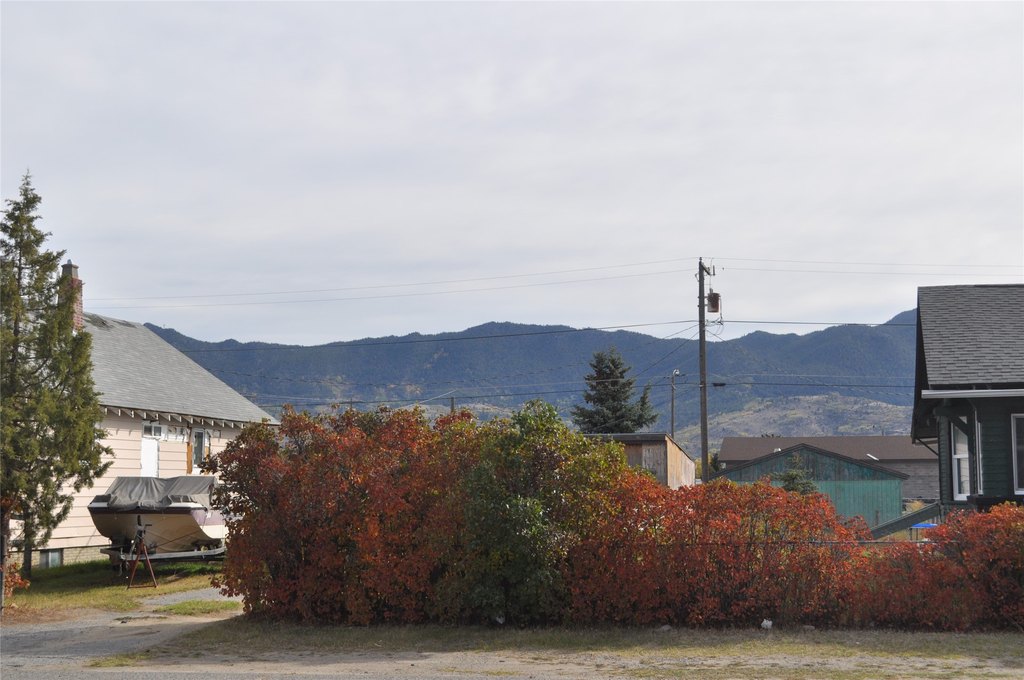 Picture 6