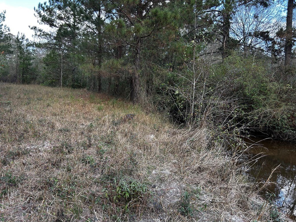 Picture 9