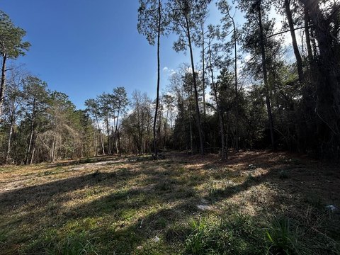 Corner Lot Near Anchor Lake