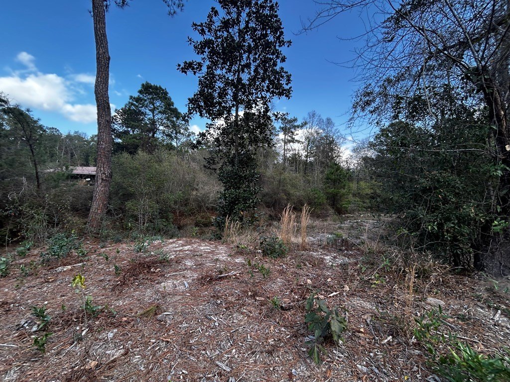 Picture 6