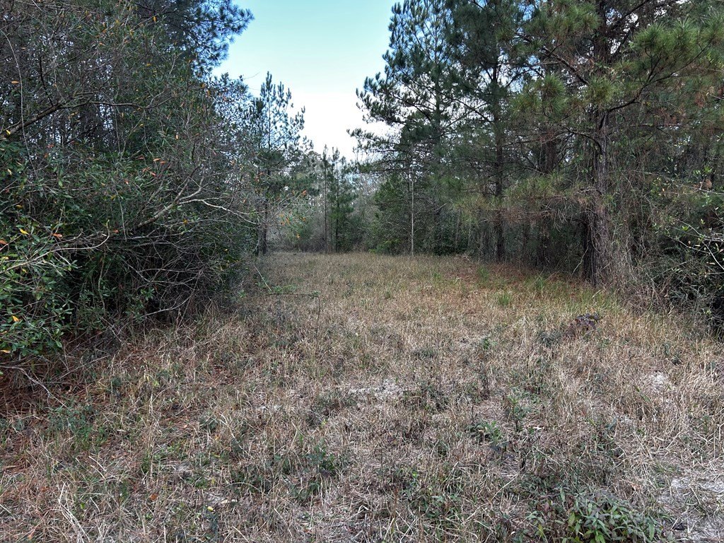 Picture 10