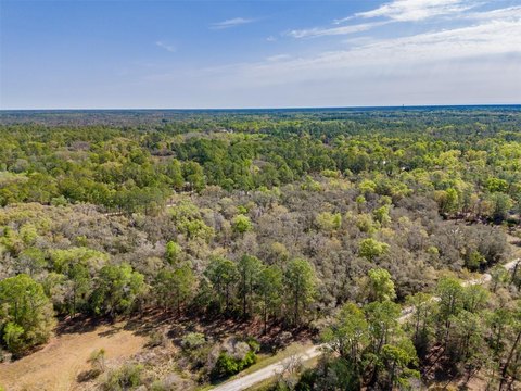 Wooded Homesite in Ridge Manor