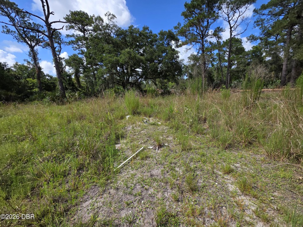 Picture 9