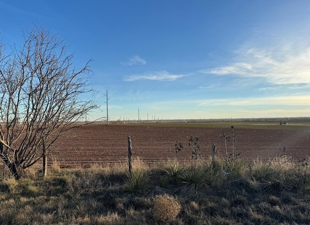 Productive 80-Acre Farm in Snyder