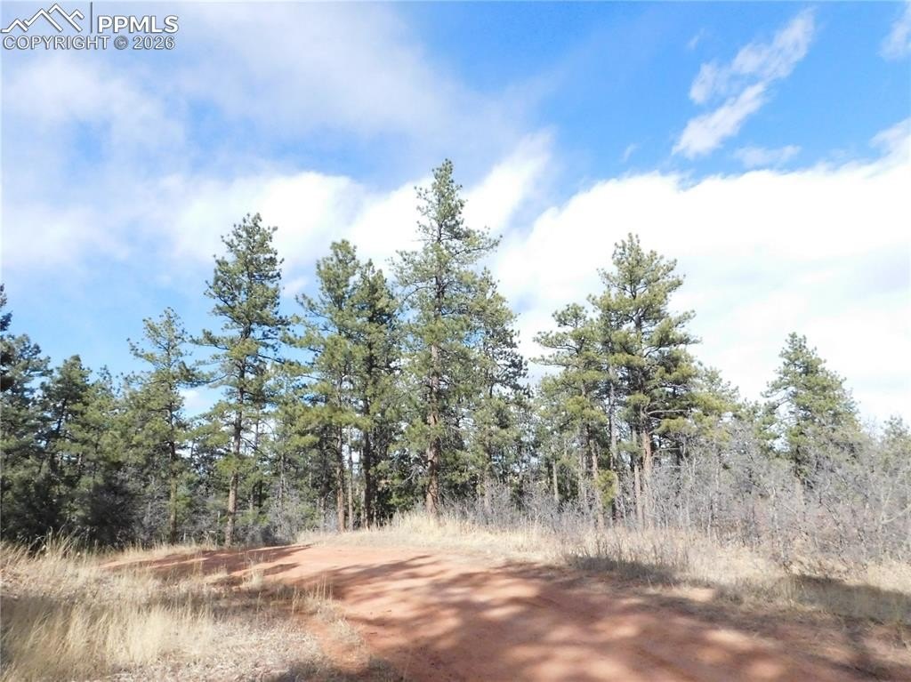 Acre Lot in Perry Park