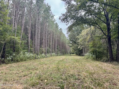 102 Acres Hunting Land Gluckstadt