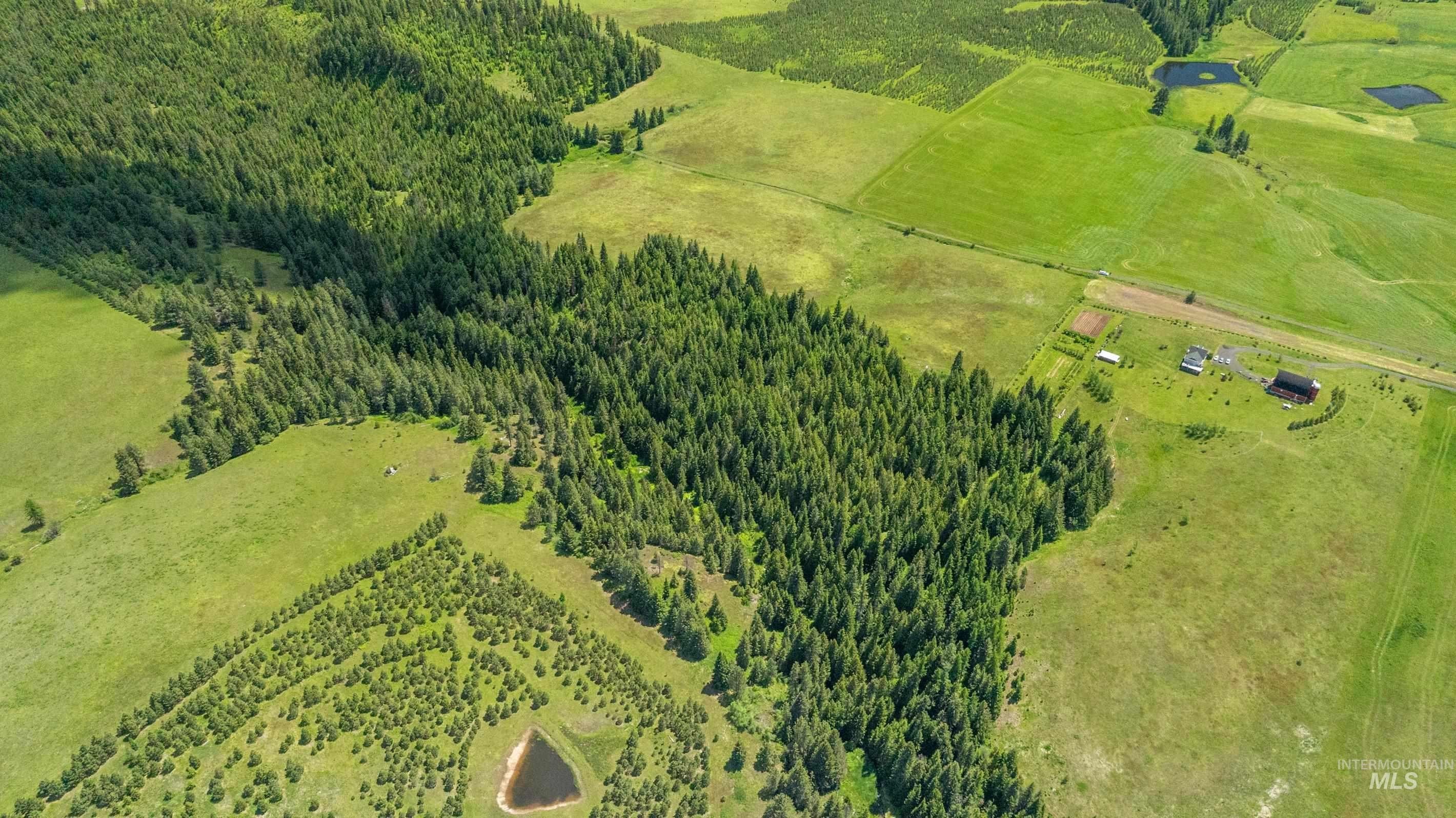 Aviation Enthusiast's Dream Property