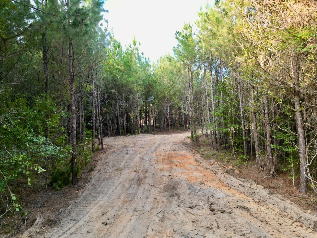 Picture 10