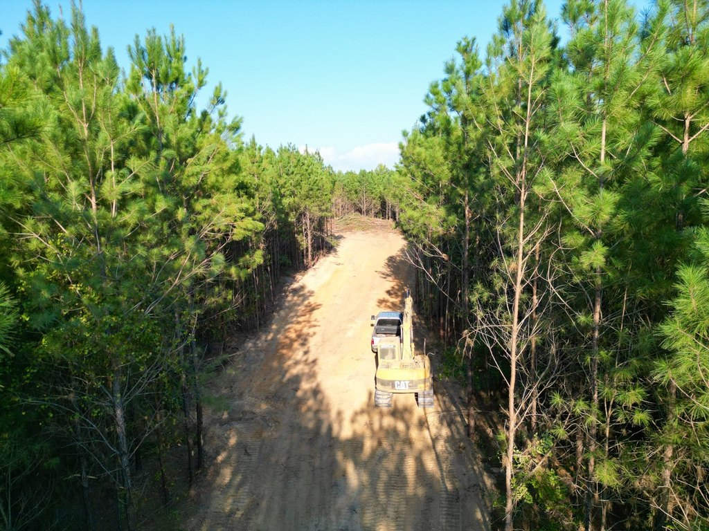 Picture 4