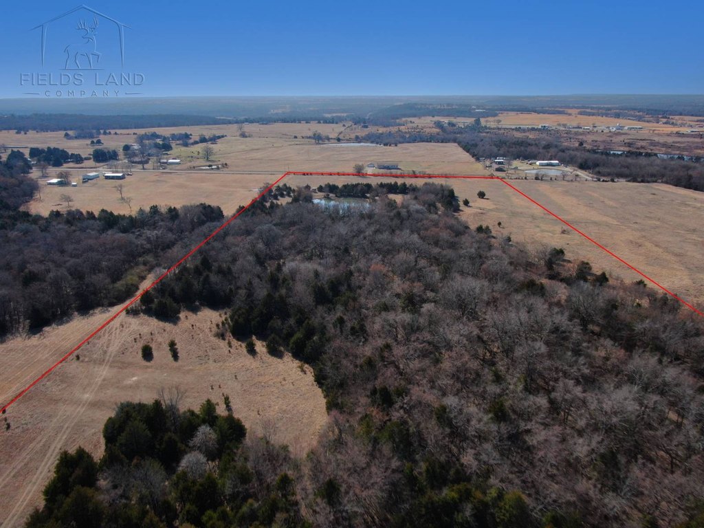 Picture 20