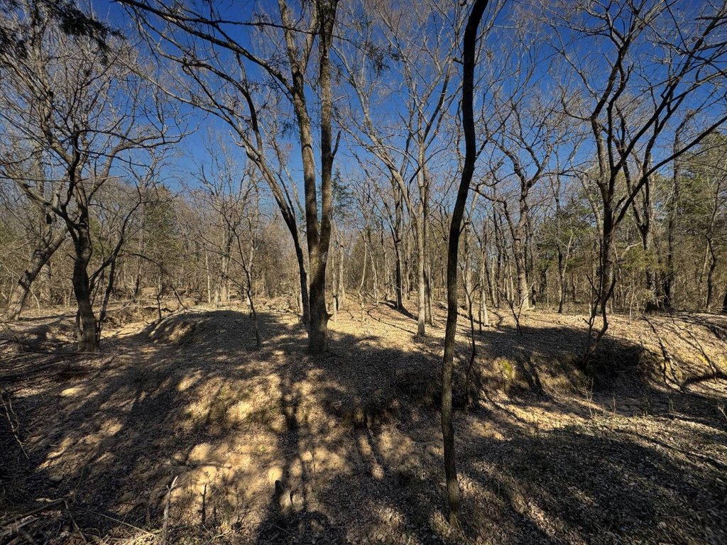 Picture 43