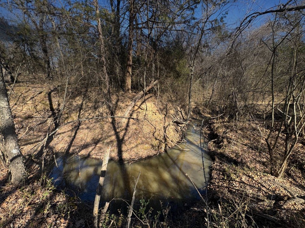 Picture 41