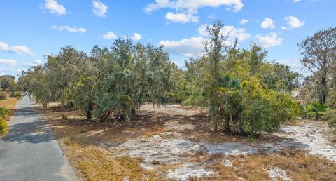Leesburg Land with Canal Access