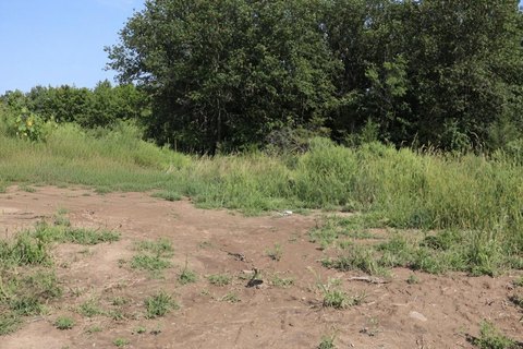 Land, Carver, MN