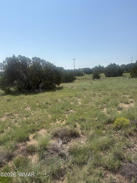 LAND - Concho, AZ