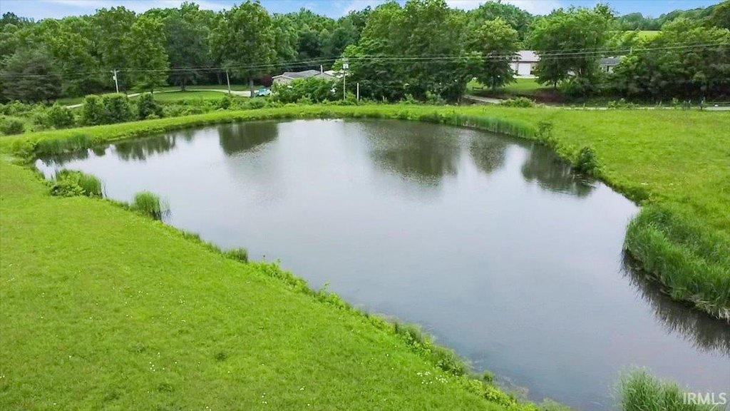 Picture 11