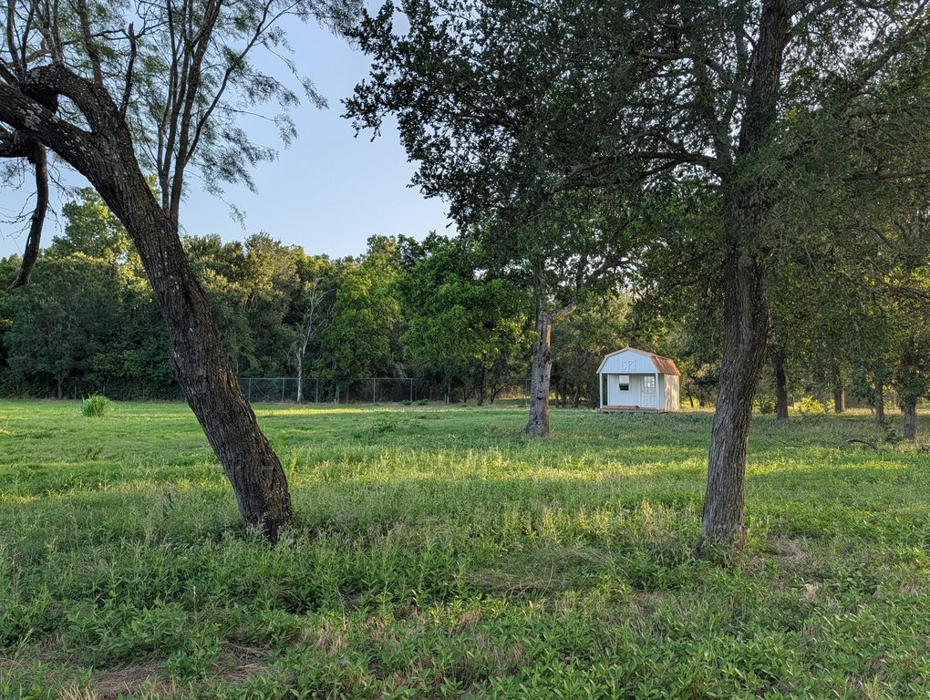 Picture 5