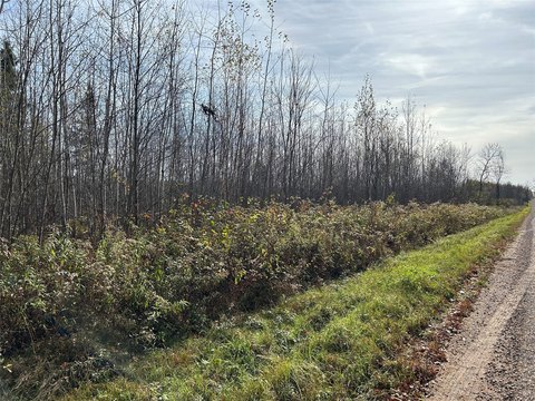 Land, Ladysmith, WI