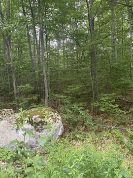 Residential Building Lot with Septic Permit