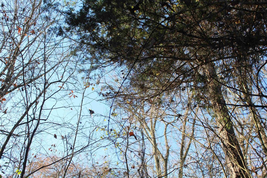 Picture 3