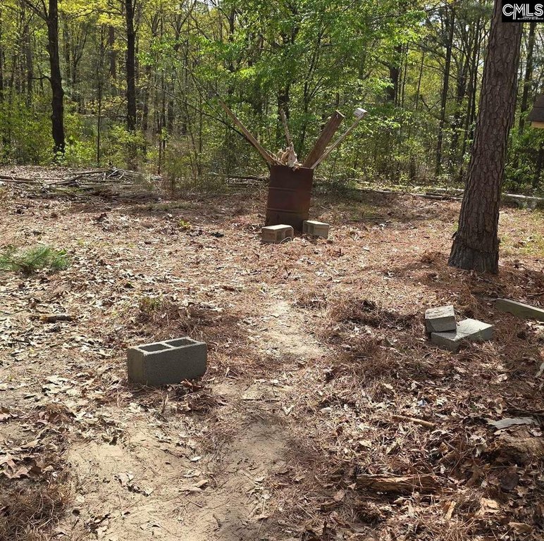 Picture 2