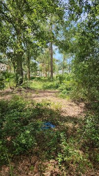 Buildable High-and-Dry Residential Lot