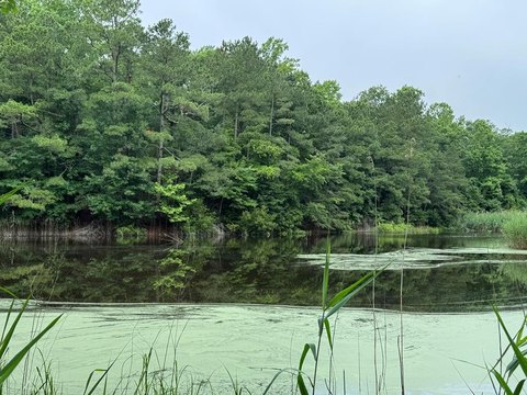 Waterfront Lot in Captain's Cove