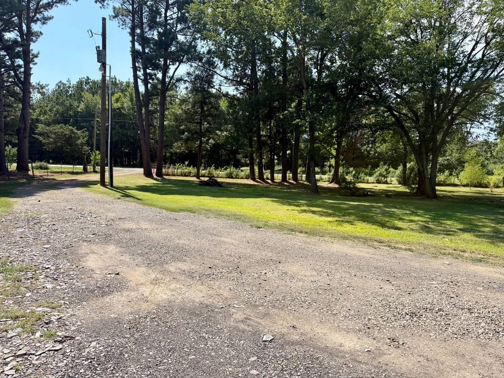 Picture 20