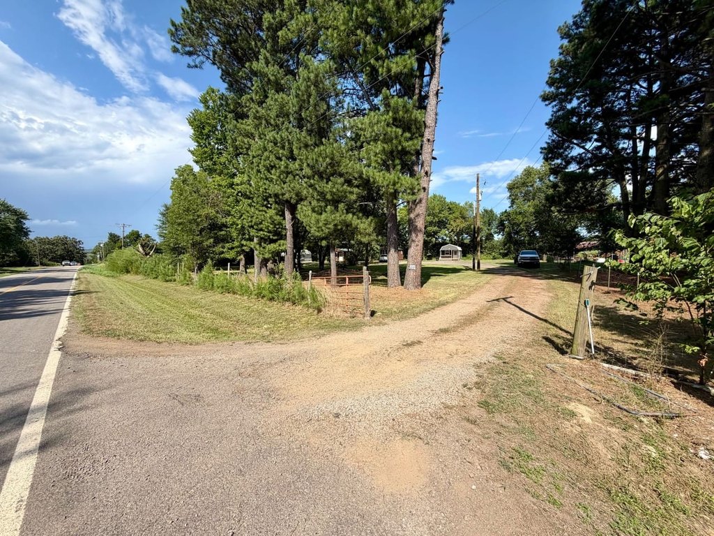Picture 15
