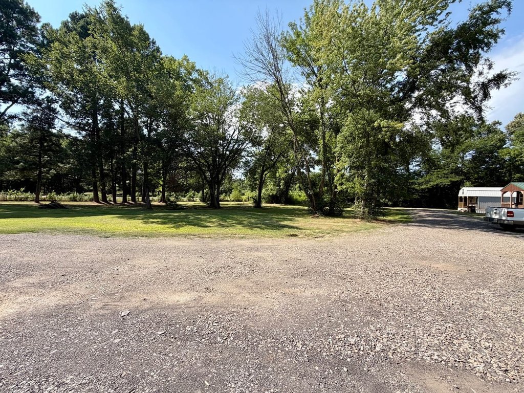 Picture 21