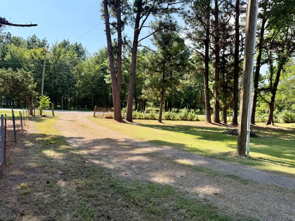 Picture 18