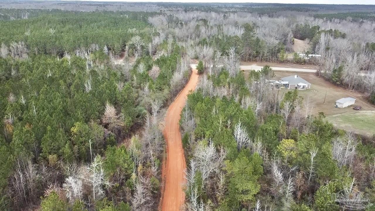 Unrestricted Land in Beatrice, Alabama