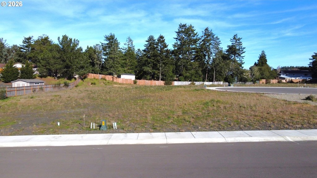 Picture 6