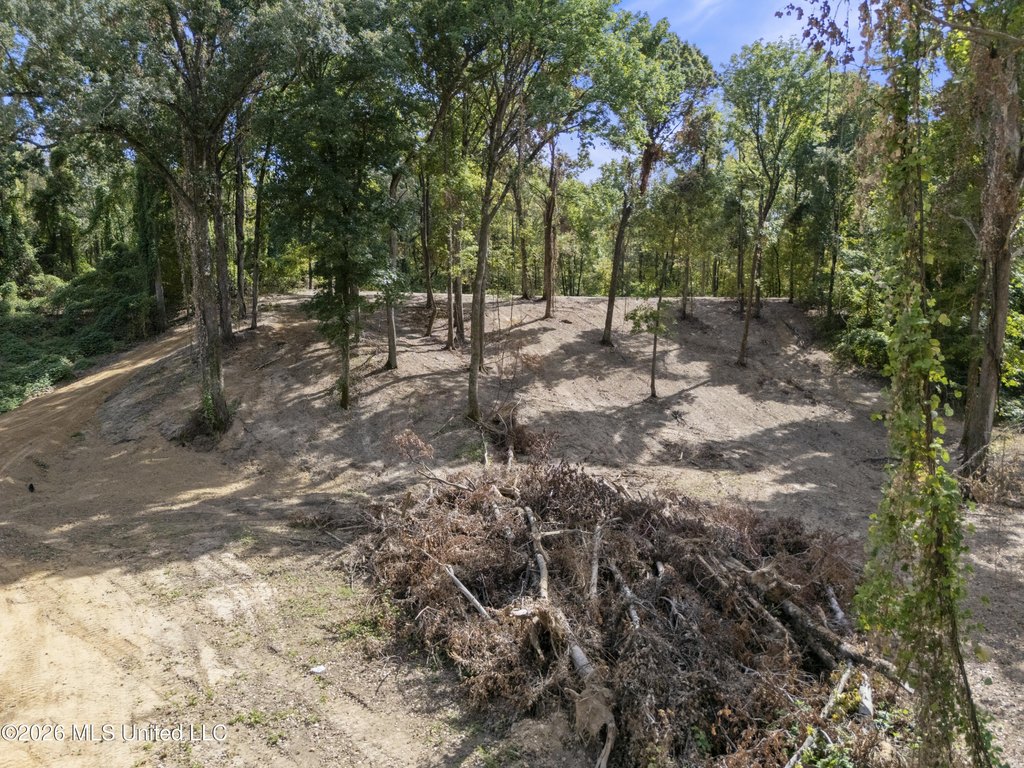 Picture 43