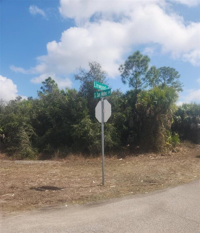 Picture 3