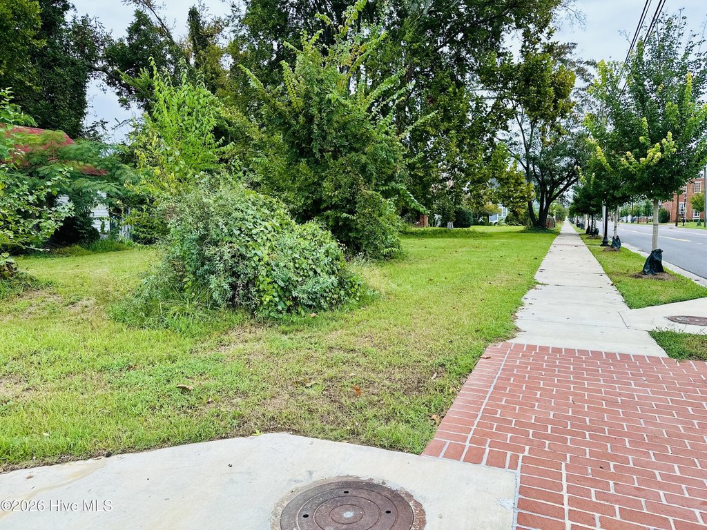Picture 4