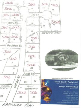 Residential Lot in Croswell, MI