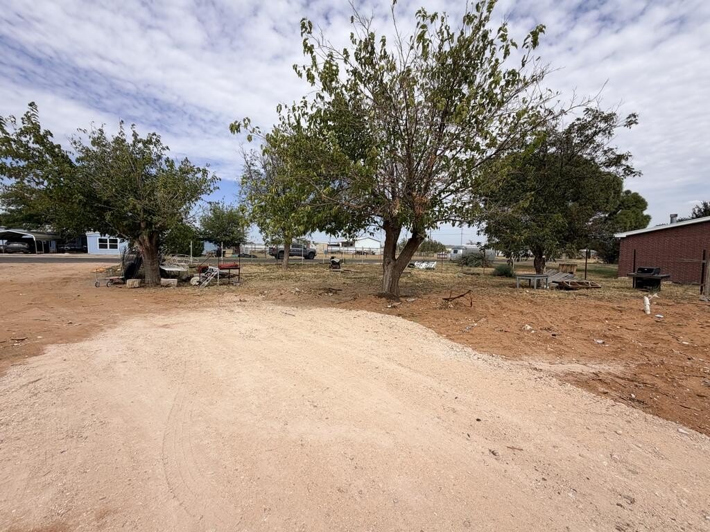 Picture 4