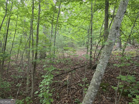 LAND - Clarkesville, GA