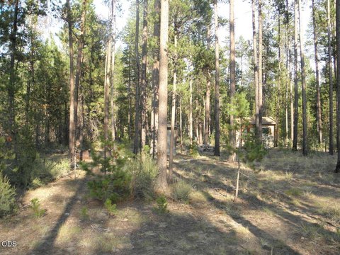 LAND - La Pine, OR