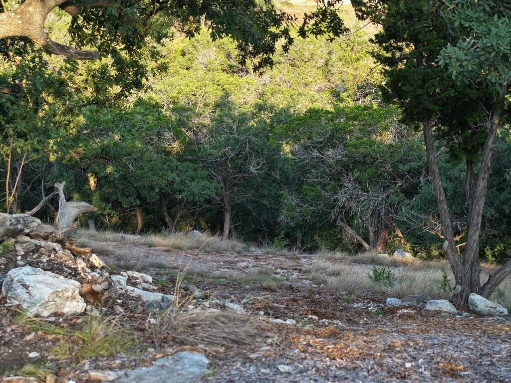 Picture 15