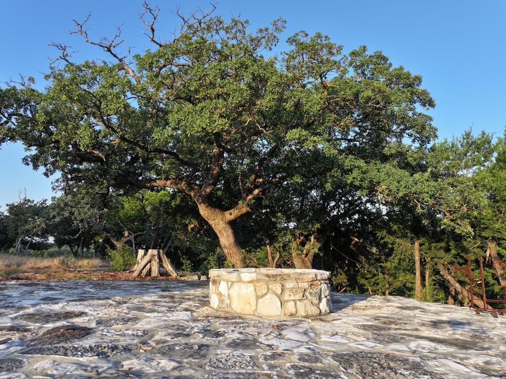 Picture 14