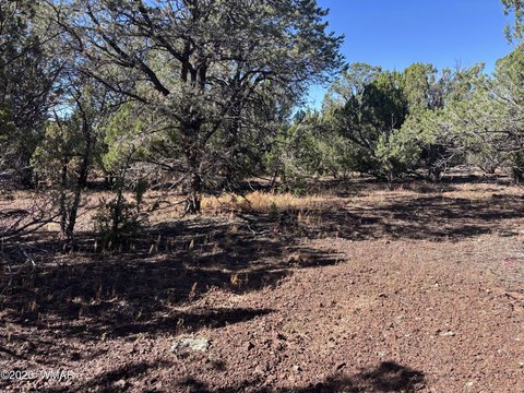 Land, Vernon, AZ