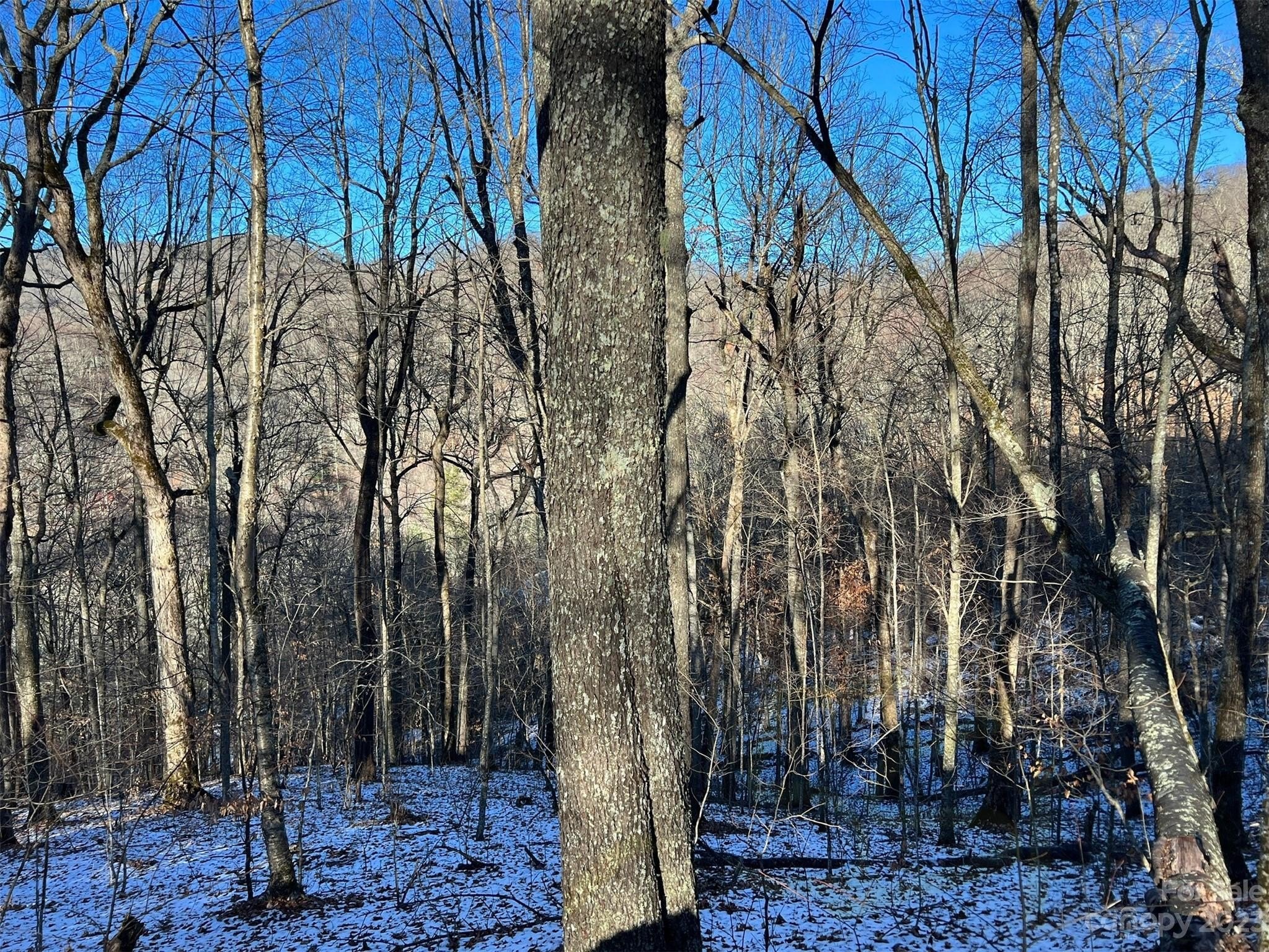 Land in Wolf Laurel Community