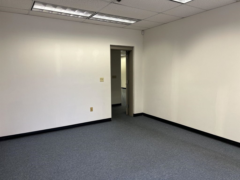 Picture 20