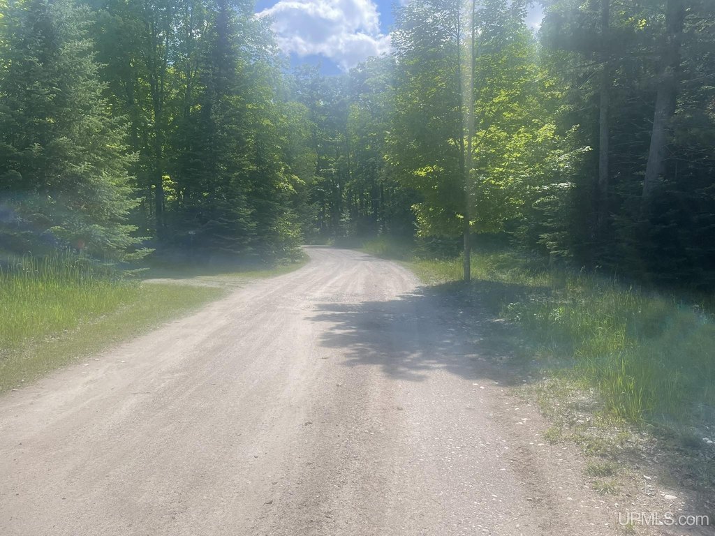 Picture 18