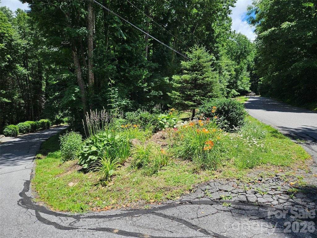 Picture 30