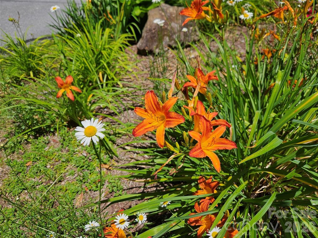 Picture 32