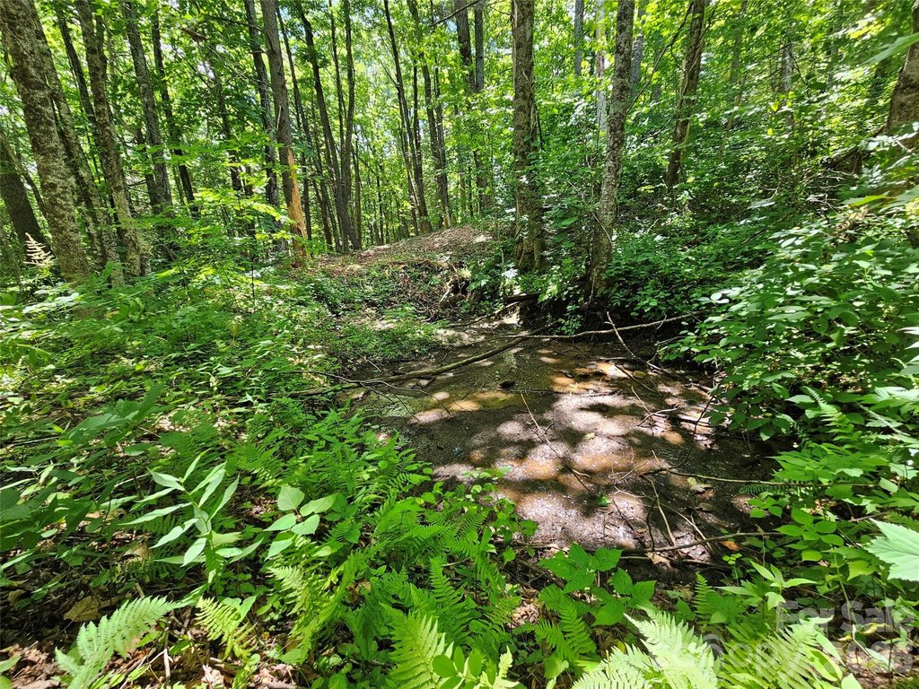 Picture 27